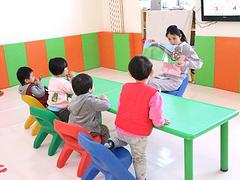 北京神州智慧星提供合格的幼兒園全腦加盟 房山全腦加盟